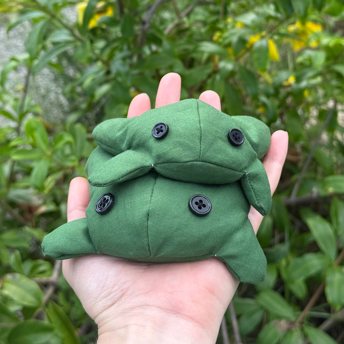 Toadlet