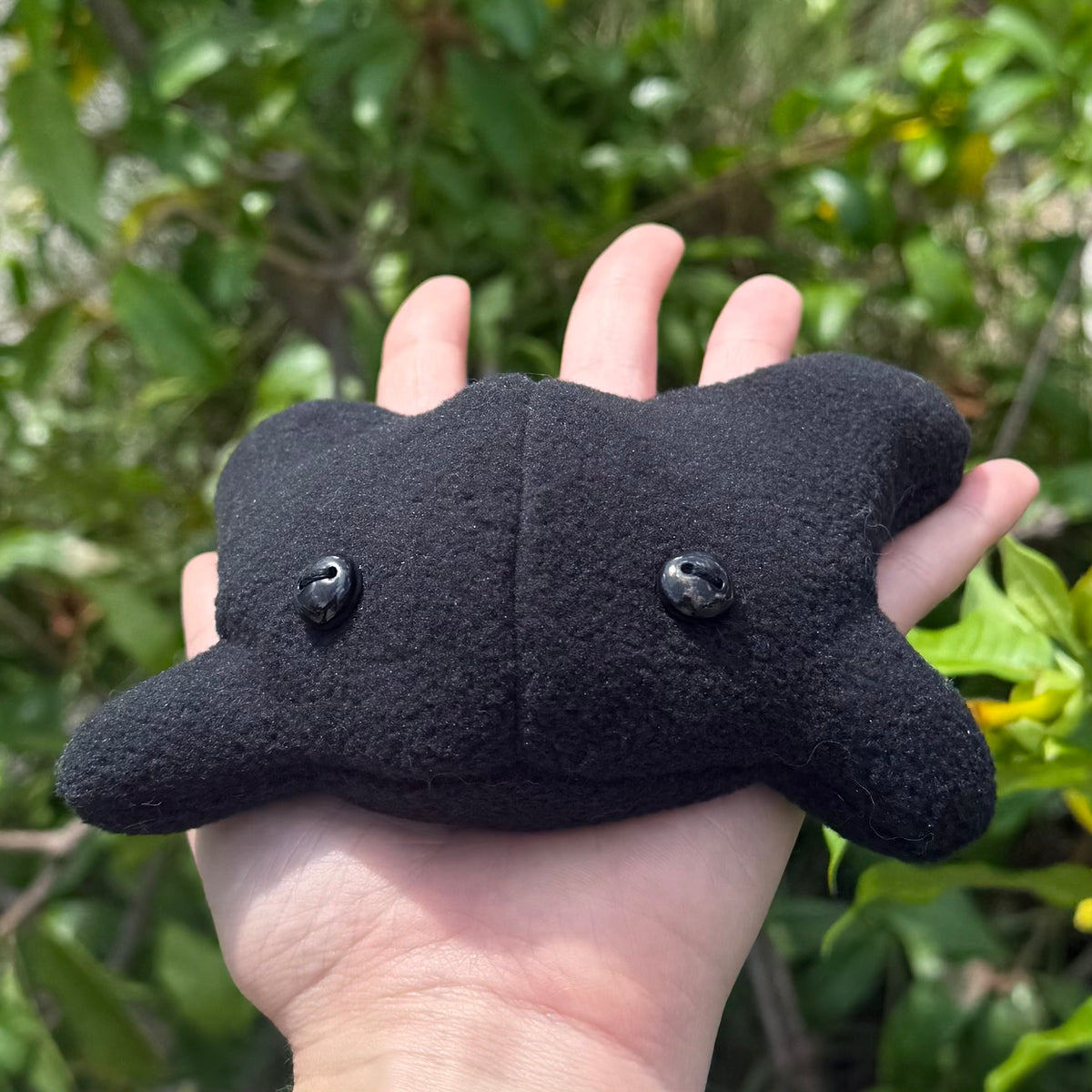 Void Heavy Frog