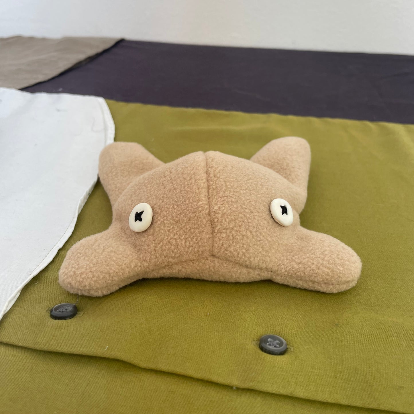 Heavy Frog