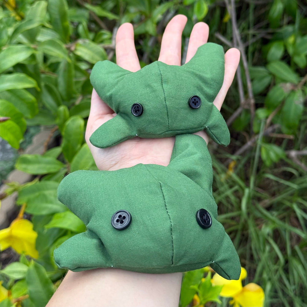 Toadlet